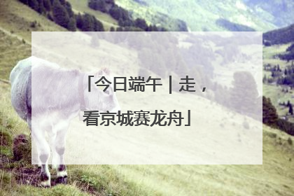 今日端午｜走，看京城赛龙舟