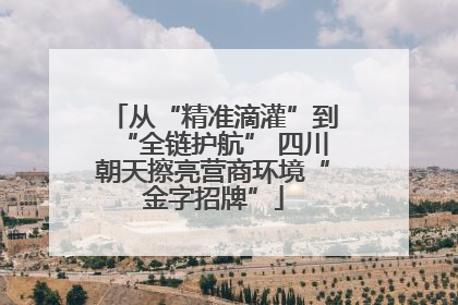 从“精准滴灌”到“全链护航” 四川朝天擦亮营商环境“金字招牌”