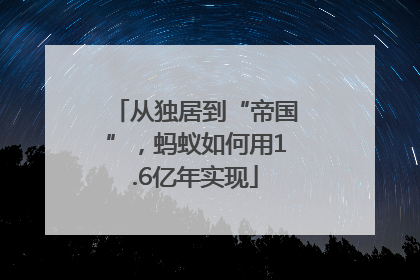 从独居到“帝国”，蚂蚁如何用1.6亿年实现