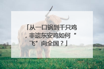 从一口锅到千只鸡，非遗东安鸡如何“飞”向全国？