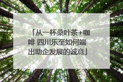 从一杯桑叶茶+咖啡 四川乐至如何端出助企发展的诚意