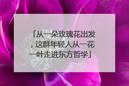 从一朵玫瑰花出发，这群年轻人从一花一叶走进东方哲学