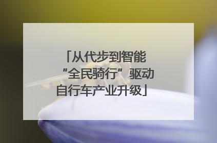 从代步到智能 “全民骑行”驱动自行车产业升级