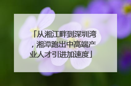 从湘江畔到深圳湾，湘潭跑出中高端产业人才引进加速度