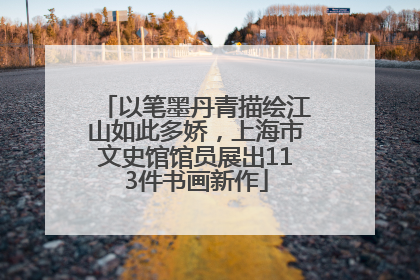 以笔墨丹青描绘江山如此多娇，上海市文史馆馆员展出113件书画新作