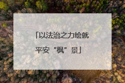 以法治之力绘就平安“枫”景