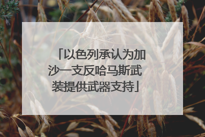 以色列承认为加沙一支反哈马斯武装提供武器支持