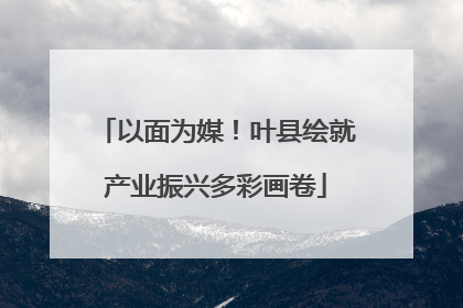 以面为媒！叶县绘就产业振兴多彩画卷