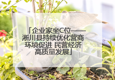 企业家坐C位——淅川县持续优化营商环境促进 民营经济高质量发展