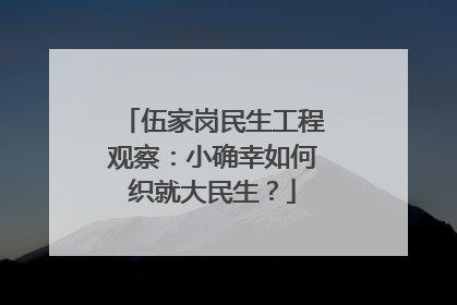 伍家岗民生工程观察：小确幸如何织就大民生？