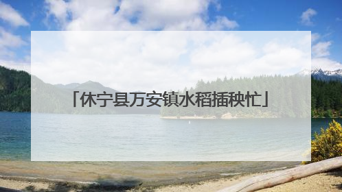 休宁县万安镇水稻插秧忙