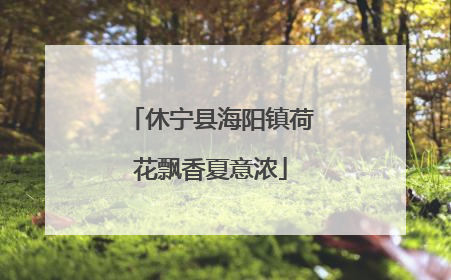 休宁县海阳镇荷花飘香夏意浓