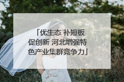 优生态 补短板 促创新 河北增强特色产业集群竞争力