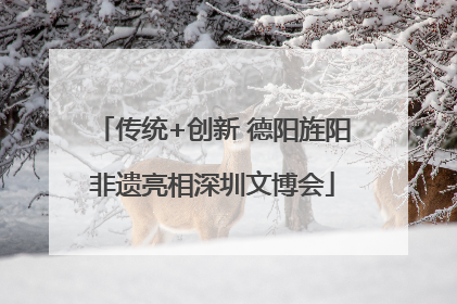 传统+创新 德阳旌阳非遗亮相深圳文博会