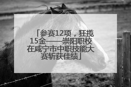 参赛12项，狂揽15金——崇阳职校在咸宁市中职技能大赛斩获佳绩