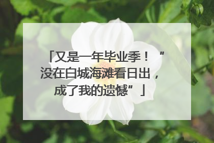 又是一年毕业季！“没在白城海滩看日出，成了我的遗憾”