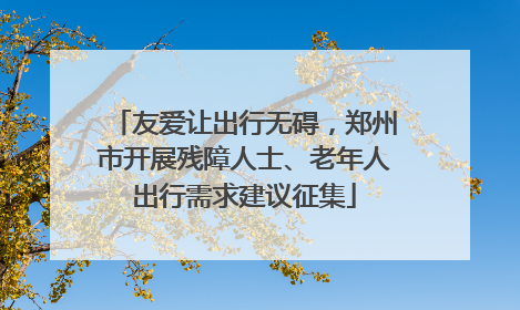 友爱让出行无碍，郑州市开展残障人士、老年人出行需求建议征集