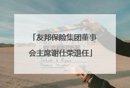 友邦保险集团董事会主席谢仕荣退任