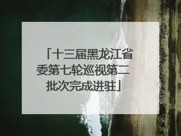 十三届黑龙江省委第七轮巡视第二批次完成进驻