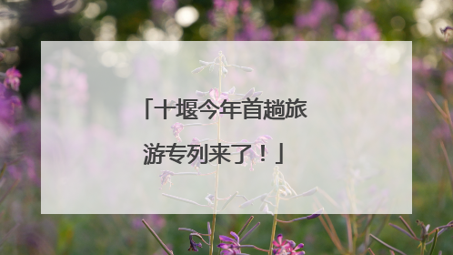 十堰今年首趟旅游专列来了！