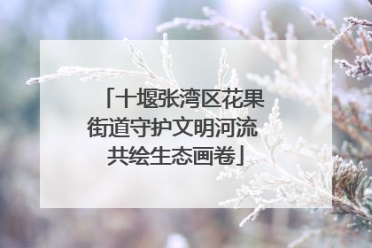 十堰张湾区花果街道守护文明河流 共绘生态画卷