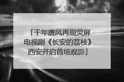 千年唐风再现荧屏 电视剧《长安的荔枝》西安开启首场观影