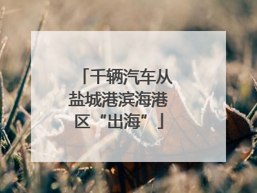 千辆汽车从盐城港滨海港区“出海”