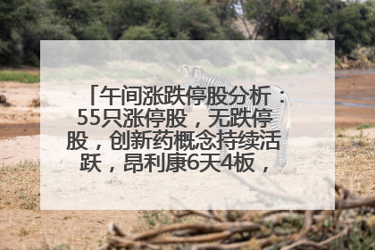 午间涨跌停股分析：55只涨停股，无跌停股，创新药概念持续活跃，昂利康6天4板，众生药业2连板