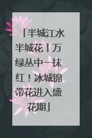 半城江水半城花丨万绿丛中一抹红！冰城锦带花进入盛花期