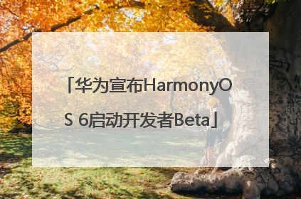 华为宣布HarmonyOS 6启动开发者Beta
