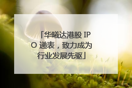 华曦达港股 IPO 递表，致力成为行业发展先驱