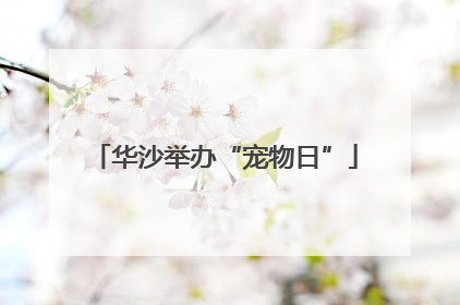 华沙举办“宠物日”