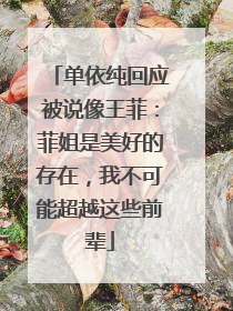 单依纯回应被说像王菲：菲姐是美好的存在，我不可能超越这些前辈