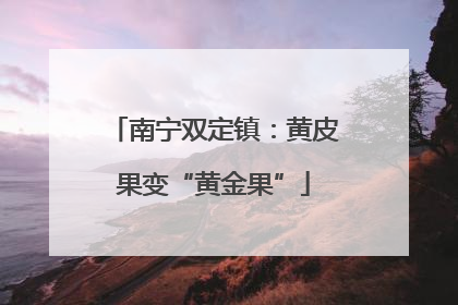 南宁双定镇：黄皮果变“黄金果”