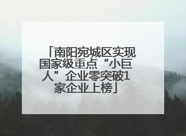 南阳宛城区实现国家级重点“小巨人”企业零突破1家企业上榜