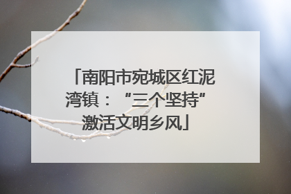 南阳市宛城区红泥湾镇：“三个坚持”激活文明乡风