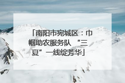 南阳市宛城区：巾帼助农服务队 “三夏”一线绽芳华