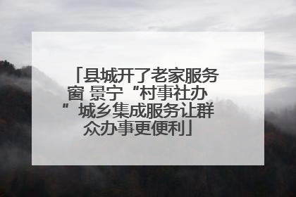 县城开了老家服务窗 景宁“村事社办”城乡集成服务让群众办事更便利