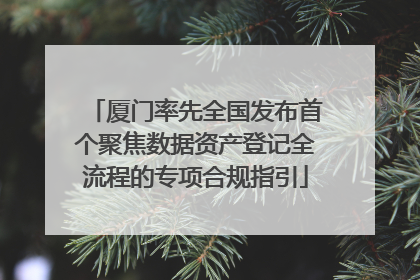 厦门率先全国发布首个聚焦数据资产登记全流程的专项合规指引