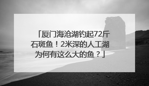 厦门海沧湖钓起72斤石斑鱼！2米深的人工湖为何有这么大的鱼？