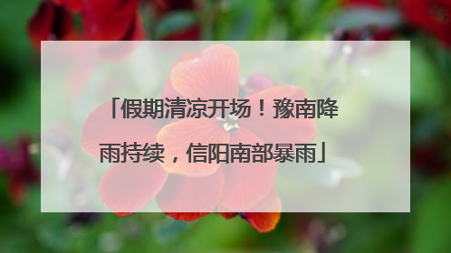 假期清凉开场！豫南降雨持续，信阳南部暴雨
