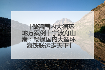 做强国内大循环·地方案例丨宁波舟山港：畅通国内大循环海铁联运走天下