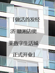 做活首发经济 赣湘边奥莱数字生活城正式开业