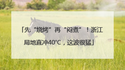 先“烧烤”再“闷煮”！浙江局地直冲40℃，这波很猛