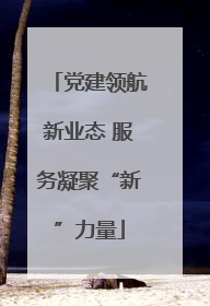 党建领航新业态 服务凝聚“新”力量