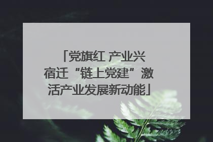 党旗红 产业兴 宿迁“链上党建”激活产业发展新动能