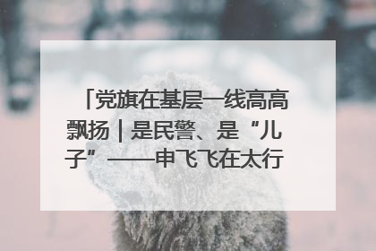 党旗在基层一线高高飘扬｜是民警、是“儿子”——申飞飞在太行山中的一线坚守