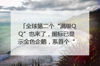 全球第二个“满级QQ”也来了，图标已显示金色企鹅，系首个“满级QQ”的小号