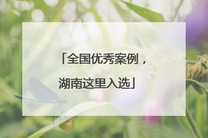 全国优秀案例，湖南这里入选