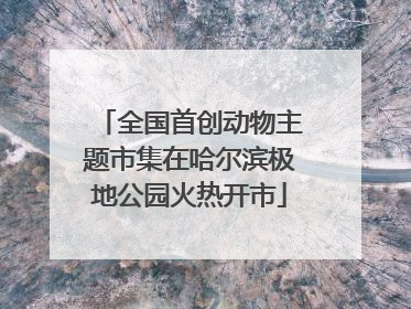 全国首创动物主题市集在哈尔滨极地公园火热开市